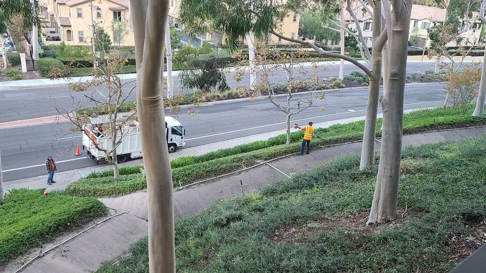 Trusted garden landscaping near you in Placentia, CA by Hunter Landscape