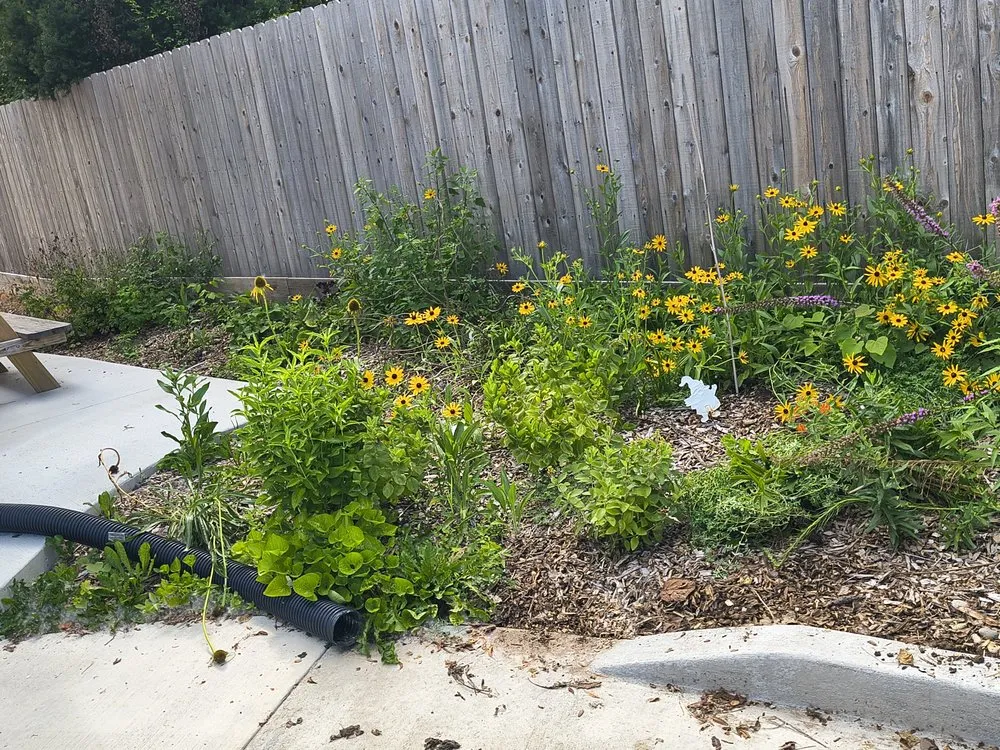 Reliable lawn care service in Annada, MO - Hunter Landscaping