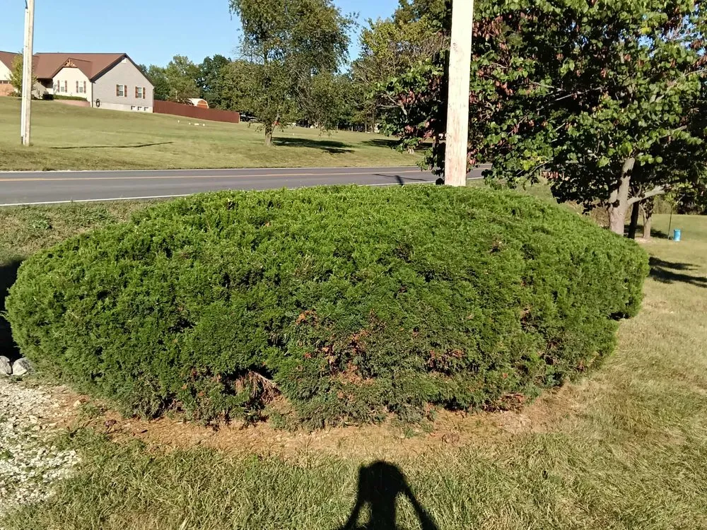 Custom outdoor landscaping in Annada, MO by Hunter Landscaping