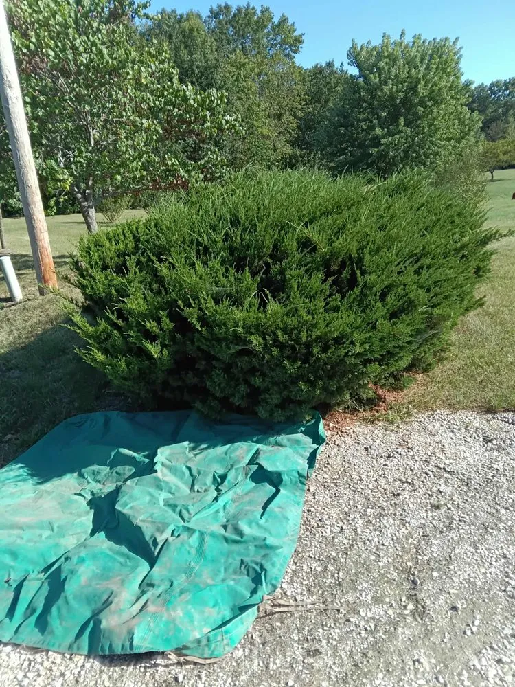 Reliable yard maintenance experts serving Annada, MO - Hunter Landscaping