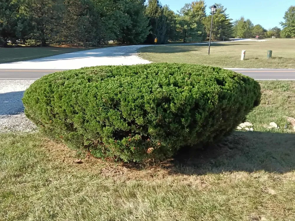 Custom landscape design for beautiful yards in Annada, MO by Hunter Landscaping