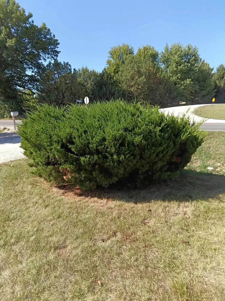 Professional landscaping services experts serving Annada, MO - Hunter Landscaping