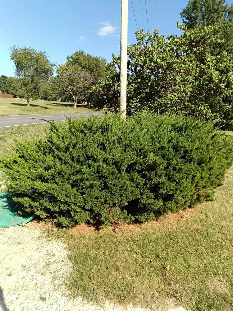 Local outdoor landscaping experts serving Annada, MO - Hunter Landscaping