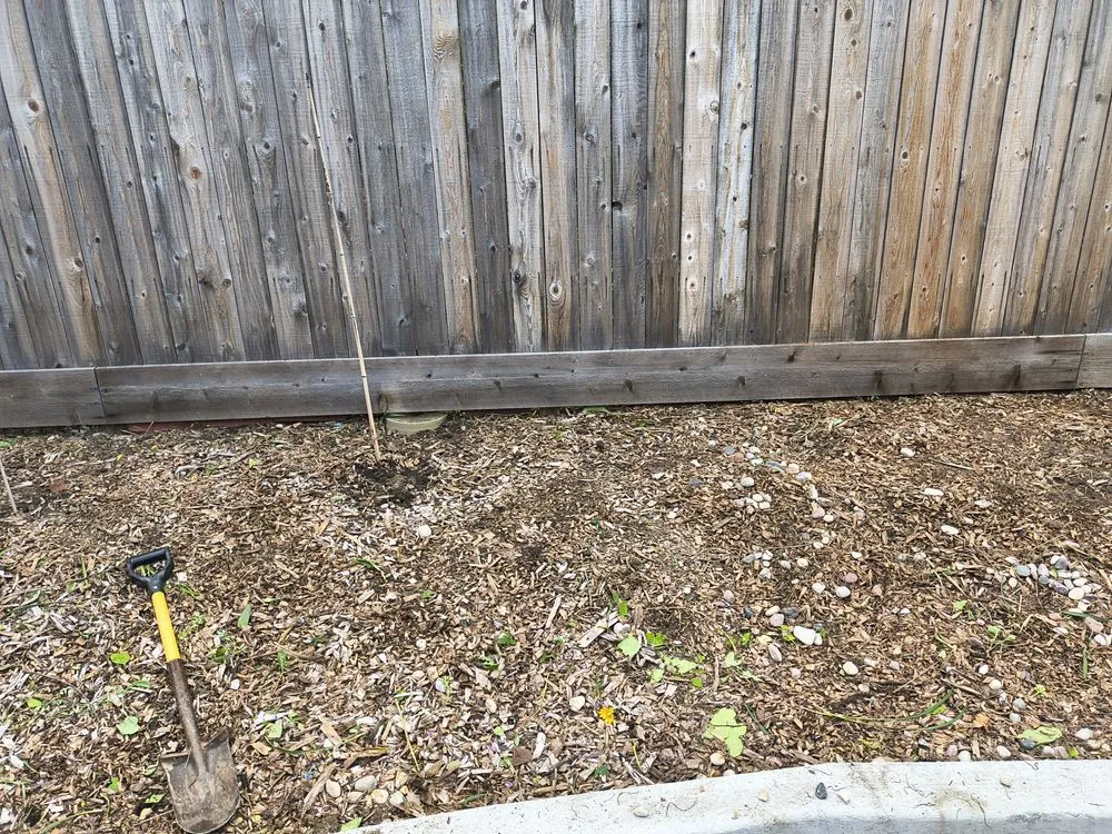 Reliable landscape design in Annada, MO by Hunter Landscaping
