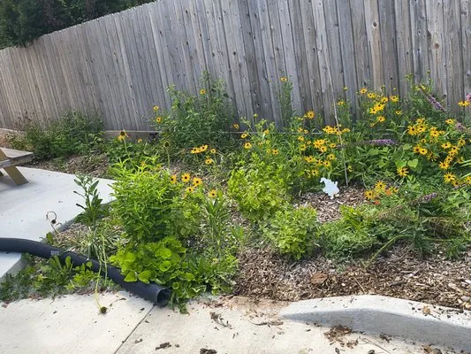 Hunter Landscaping