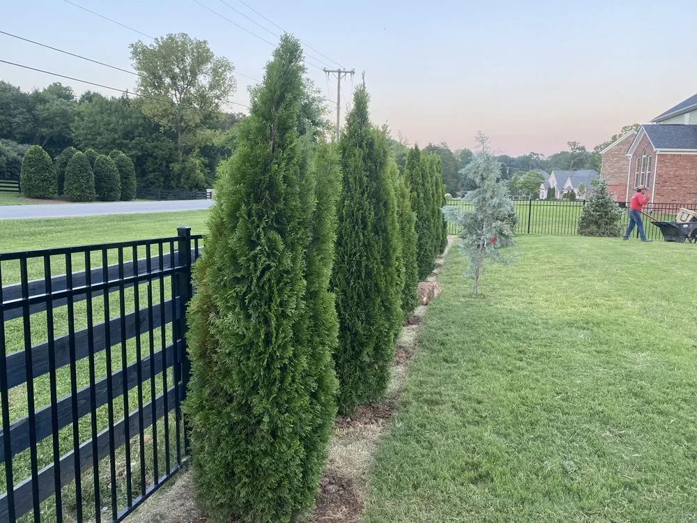 Top-rated lawn mowing service in Murfreesboro, TN by Hunter Landscaping