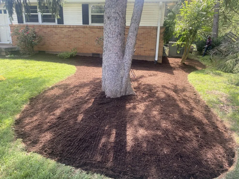 Trusted lawn care service for beautiful yards across Murfreesboro, TN - Hunter Landscaping