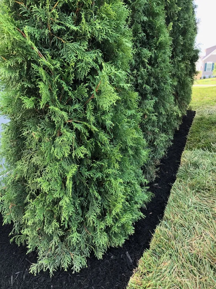 Reliable residential landscaping experts serving Murfreesboro, TN - Hunter Landscaping