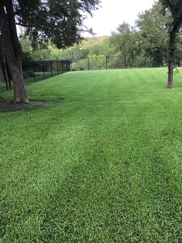 Professional garden landscaping in Killeen, TX - Hunter Lawn And Services