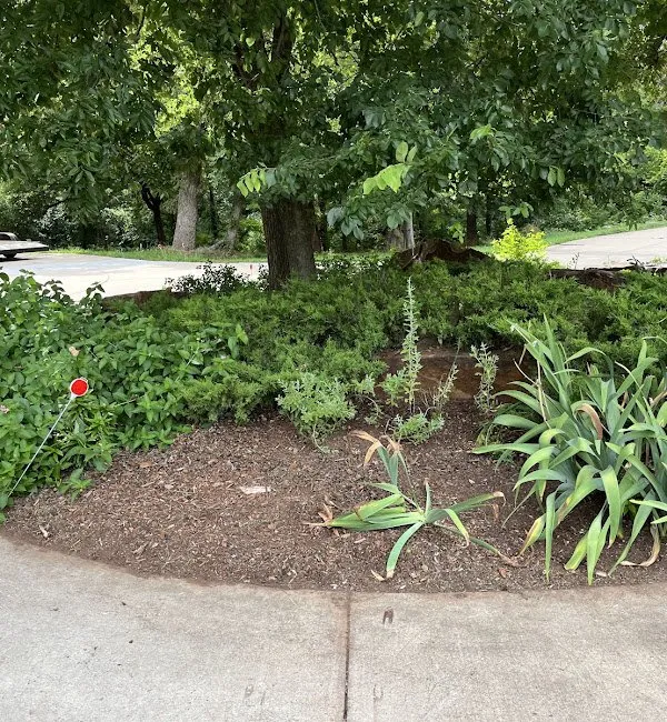 Reliable lawn care service experts serving Edmond, OK - Hunter Lawn Services