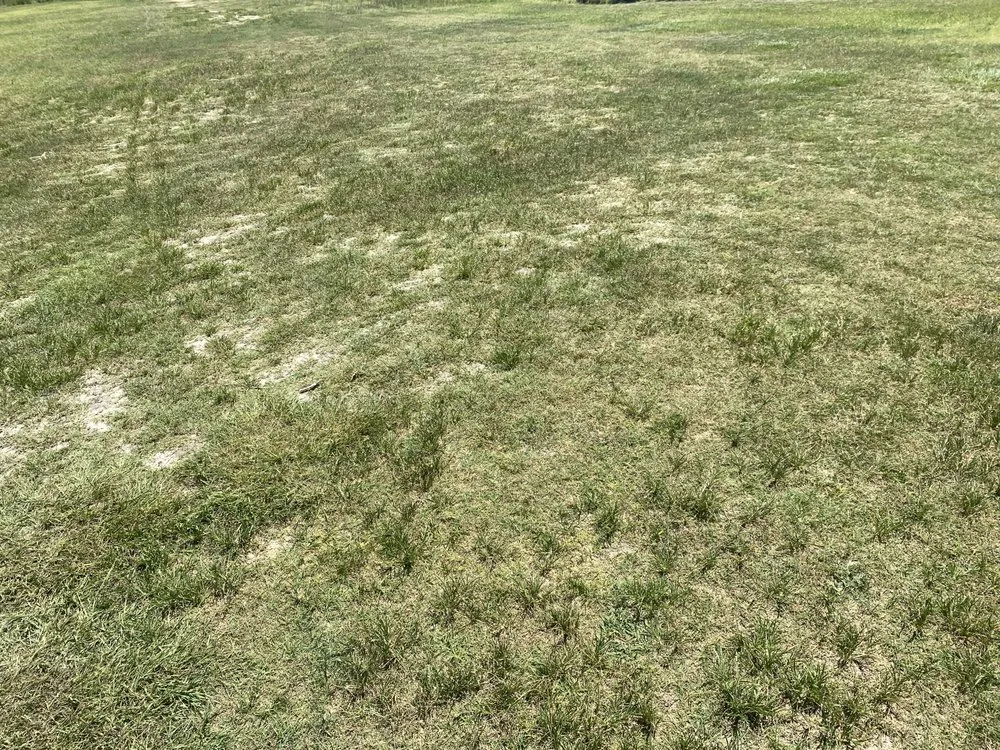 Expert lawn mowing service in Pearson, GA - Hunter Lawncare