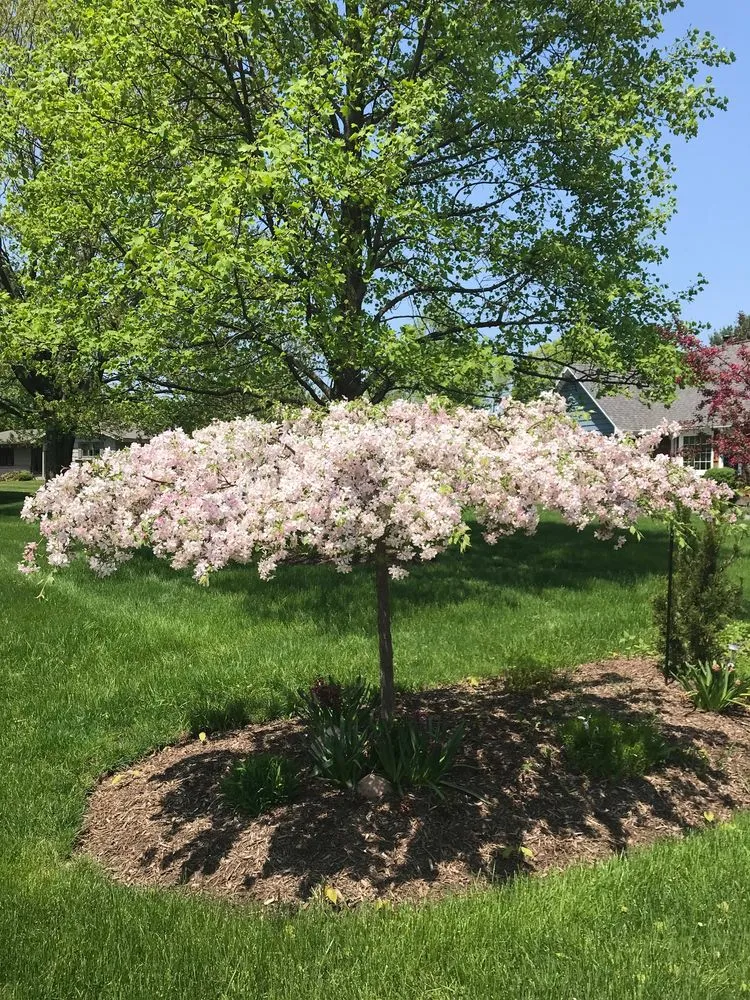 Top-rated landscaping services in East Syracuse, NY by Hunter Springs Landscape Artisans