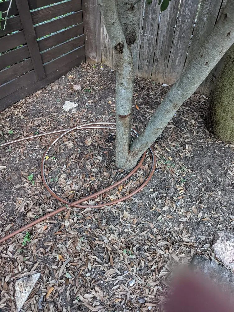 Custom residential landscaping for outdoor upgrades in Cedar Park, TX by Hunter Sprinklers