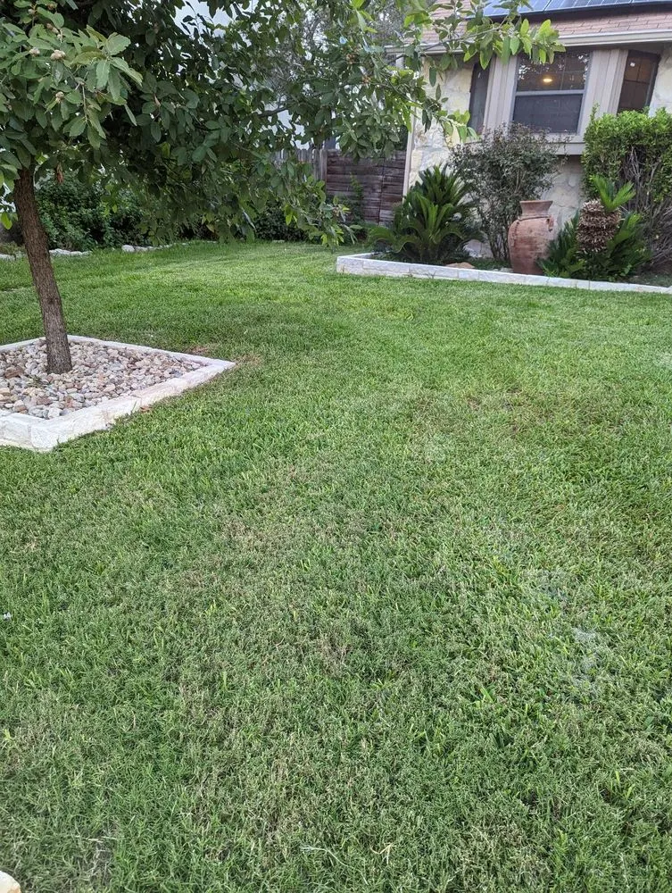 Local yard cleanup service in Cedar Park, TX by Hunter Sprinklers