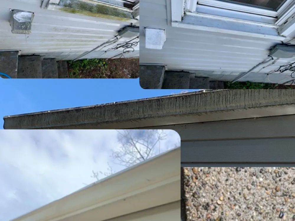 Local yard cleanup service experts serving Mountain City, TN - Hunter Taylor’s Property Care