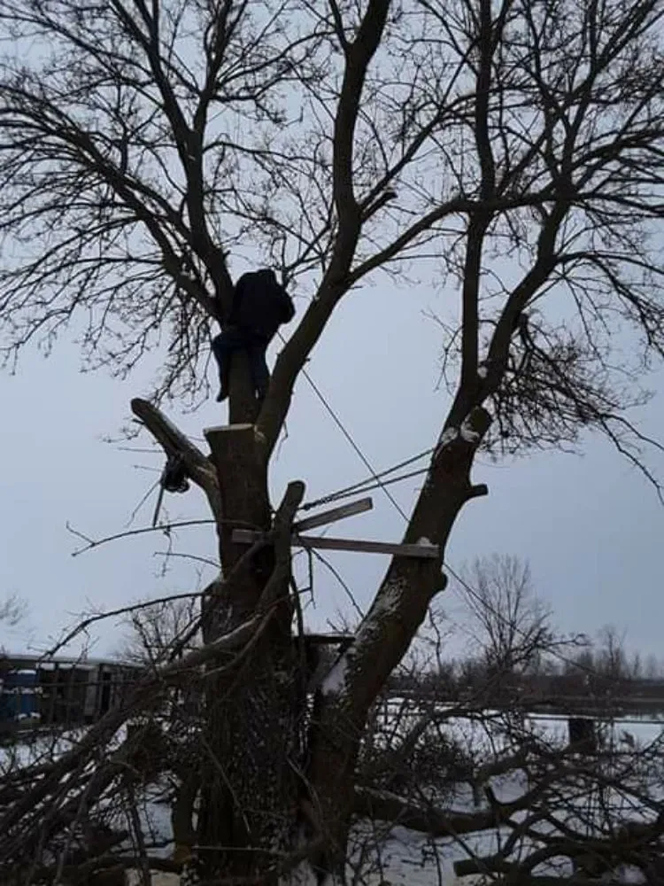 Professional yard maintenance experts serving Rock Island, IL - Hunter Tree Service