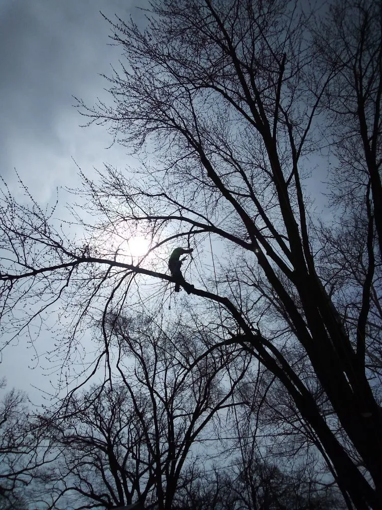 Local garden landscaping in Rock Island, IL by Hunter Tree Service