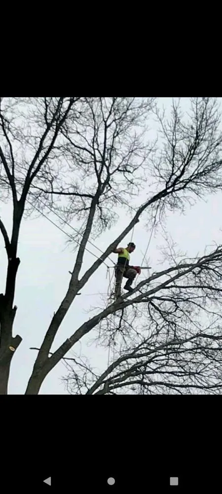 Custom outdoor landscaping for beautiful yards in Rock Island, IL by Hunter Tree Service