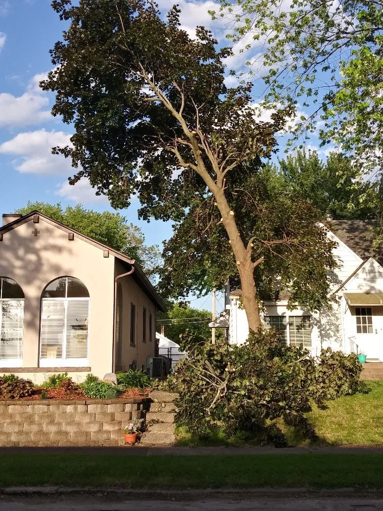Trusted lawn care service for homes across Rock Island, IL - Hunter Tree Service