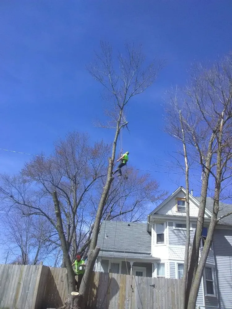 Affordable landscape installation in Rock Island, IL by Hunter Tree Service