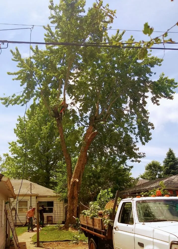 Expert lawn mowing service for homes in Rock Island, IL by Hunter Tree Service