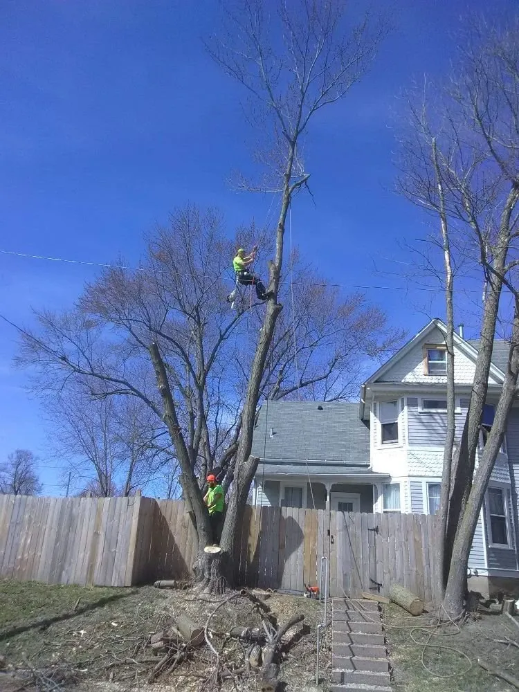 Top-rated landscape installation in Rock Island, IL by Hunter Tree Service