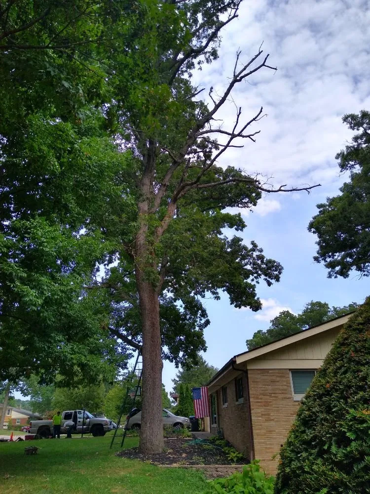 Expert garden landscaping in Rock Island, IL - Hunter Tree Service