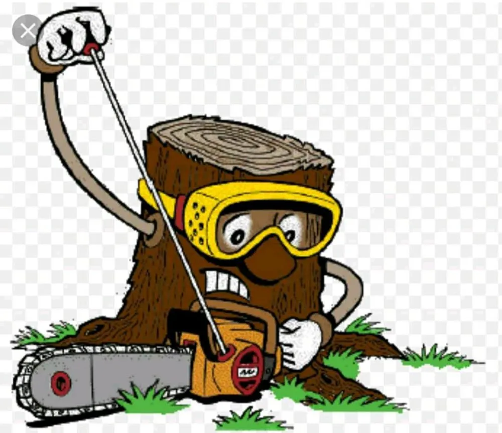 Expert landscape installation near you in Rock Island, IL by Hunter Tree Service