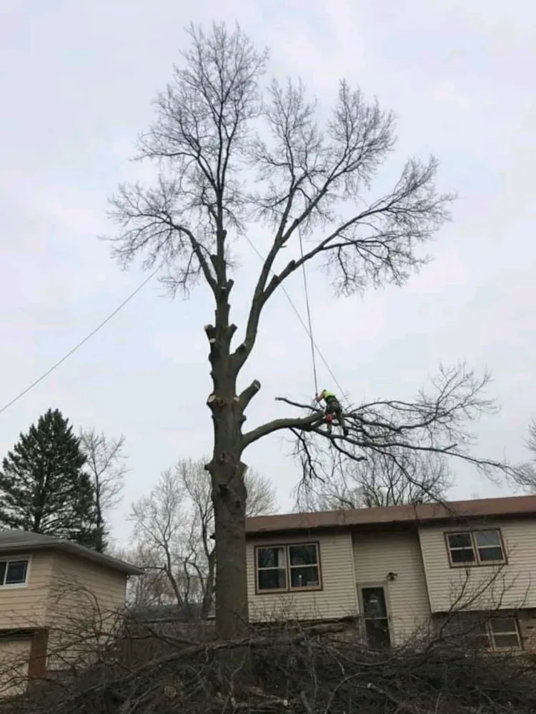 Professional landscape design for outdoor upgrades in Rock Island, IL by Hunter Tree Service