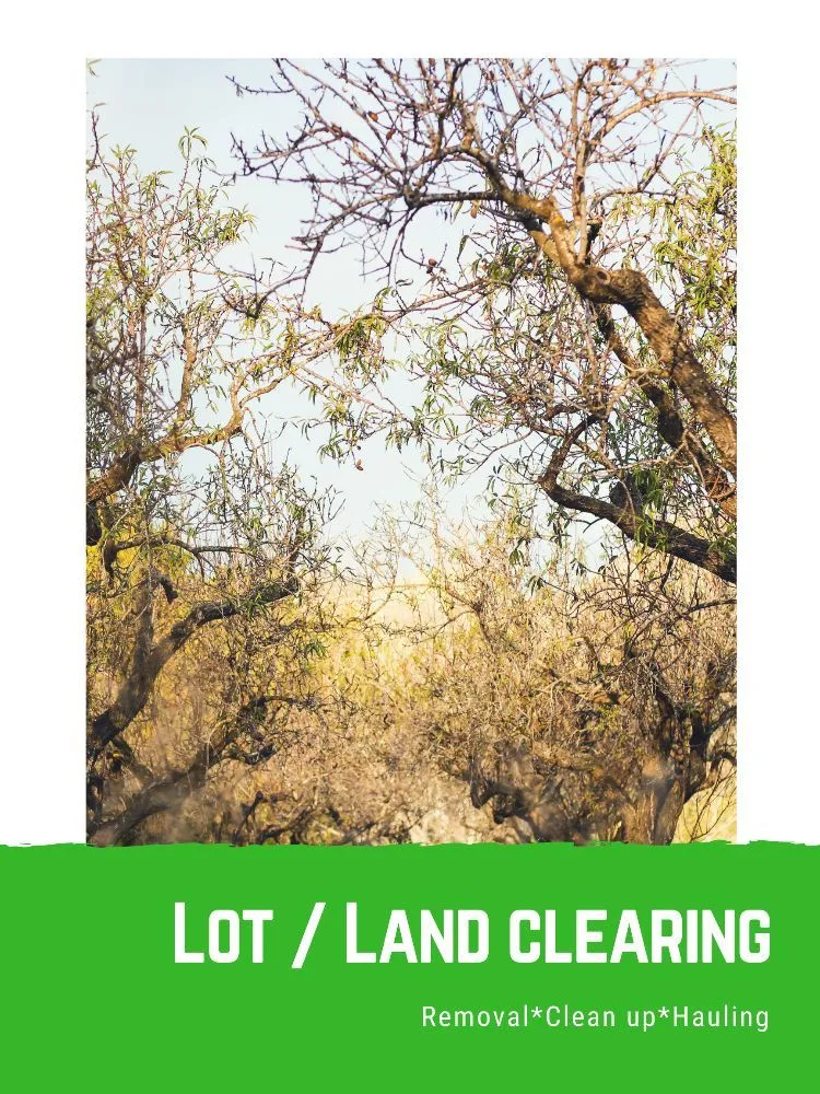 Professional residential landscaping experts serving Rock Island, IL - Hunter Tree Service