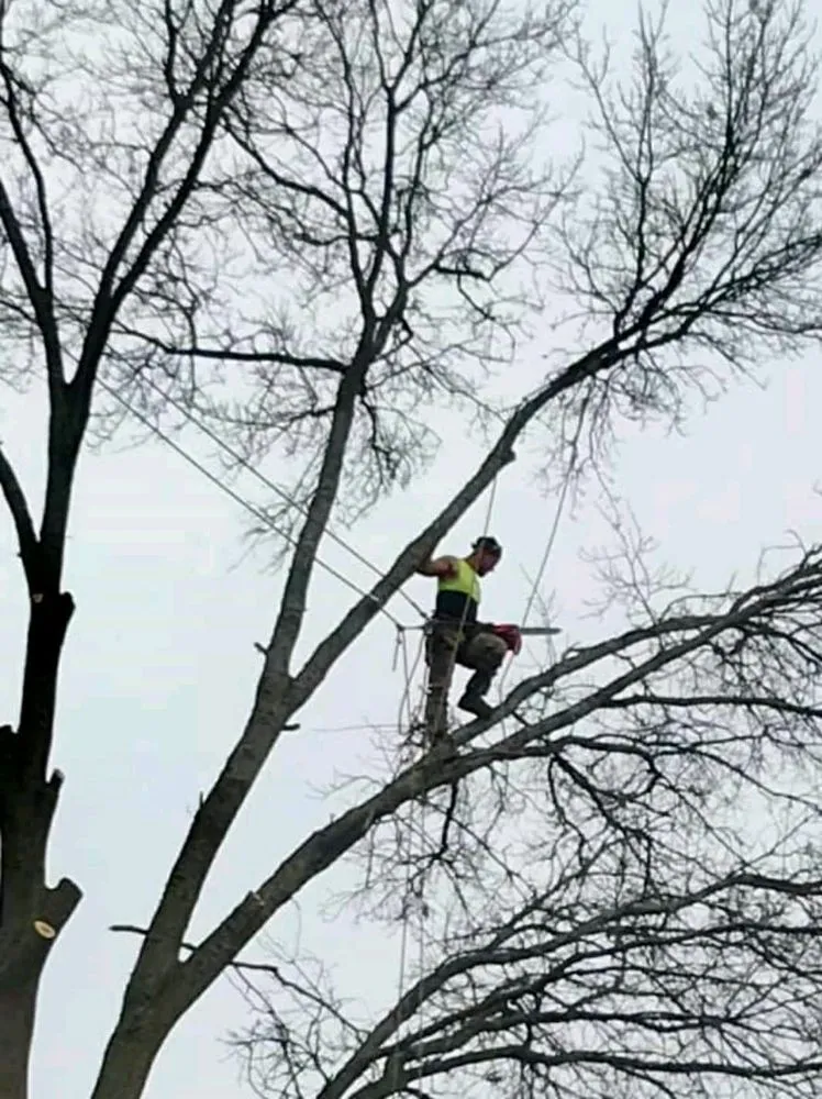 Custom residential landscaping for beautiful yards in Rock Island, IL by Hunter Tree Service