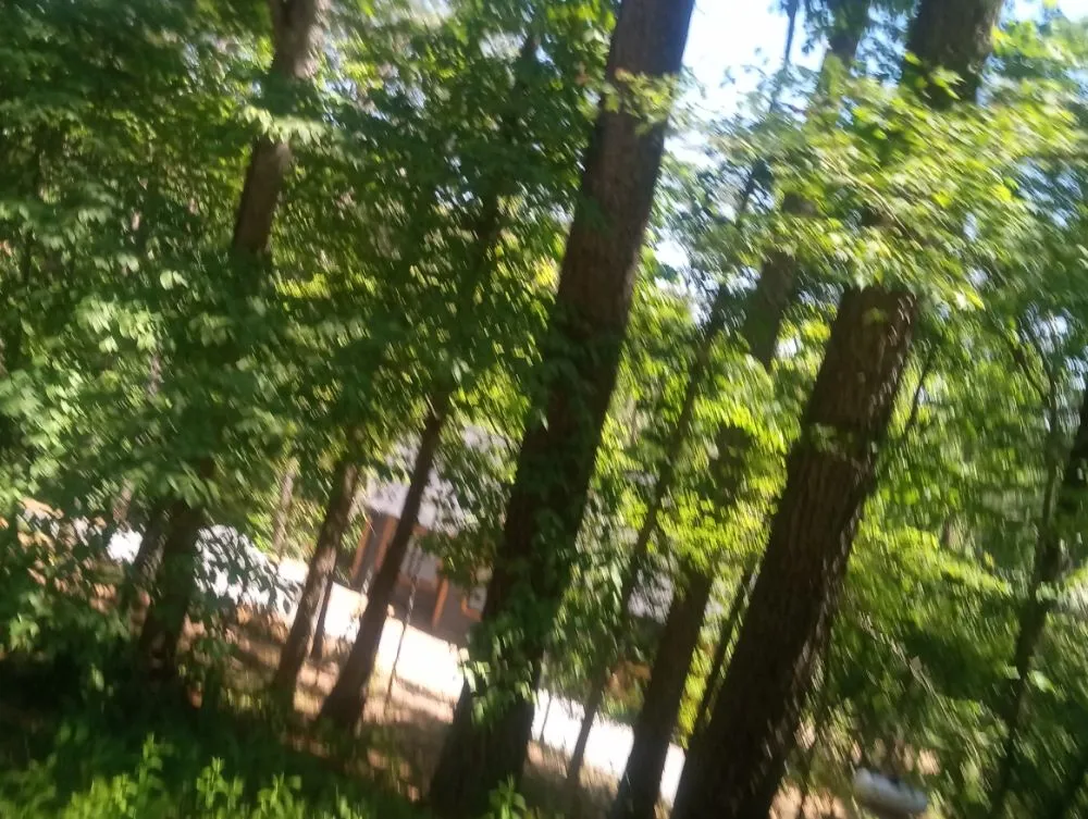 Affordable lawn care service for outdoor upgrades across Blue Ridge, GA - Hunters