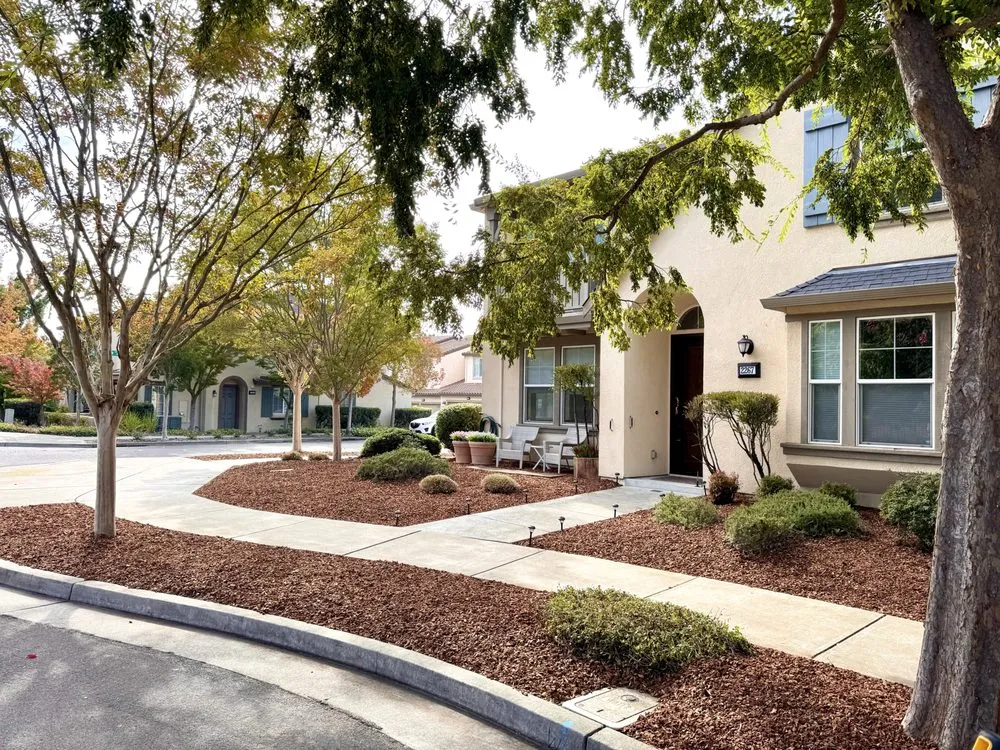 Custom outdoor landscaping experts serving Petaluma, CA - Hunters Gardening