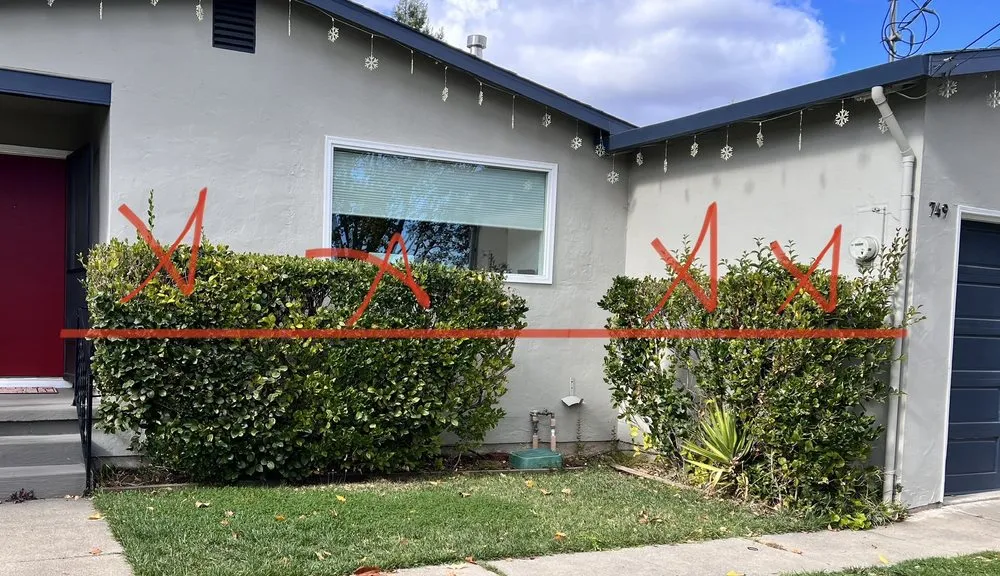 Professional outdoor landscaping in Petaluma, CA - Hunters Gardening