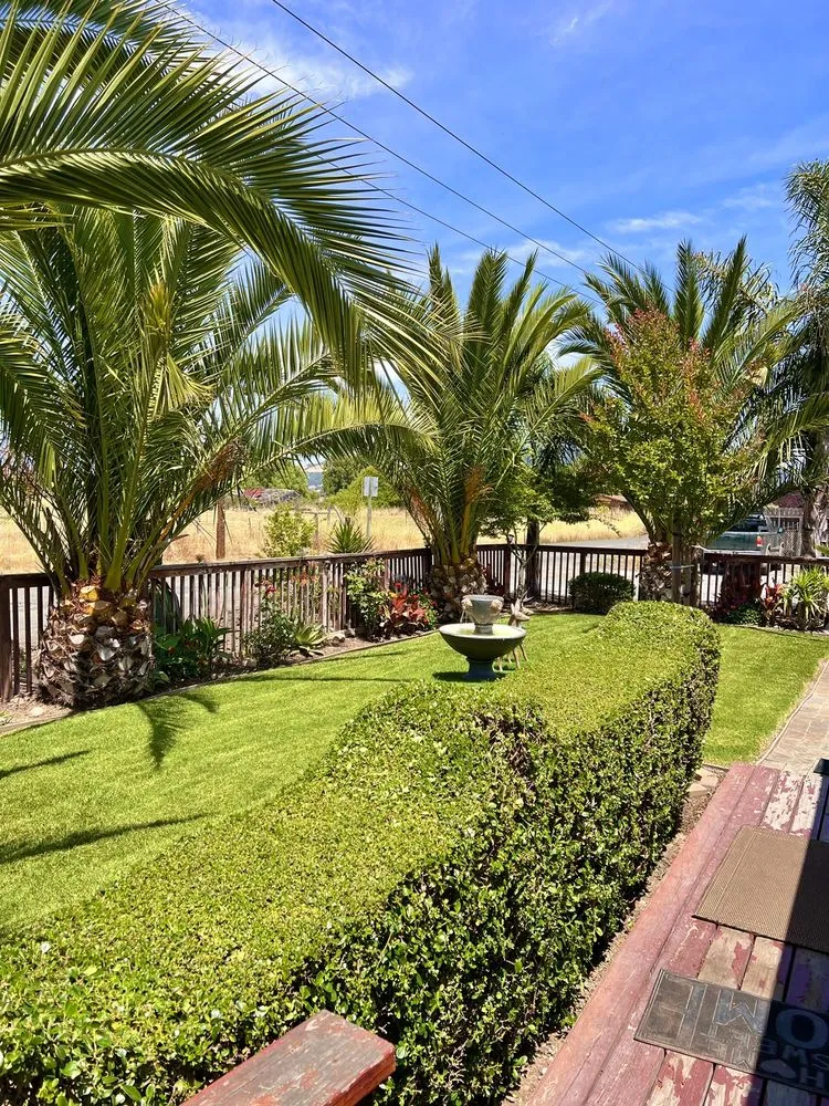 Local outdoor landscaping in Petaluma, CA by Hunters Gardening