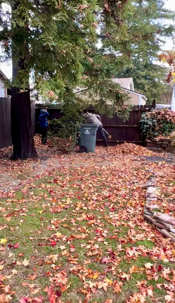 Reliable yard maintenance experts serving Petaluma, CA - Hunters Gardening