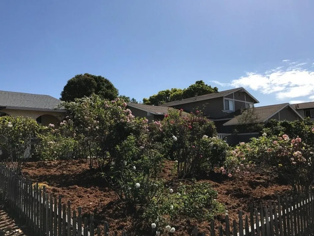 Affordable outdoor landscaping in Petaluma, CA by Hunters Gardening