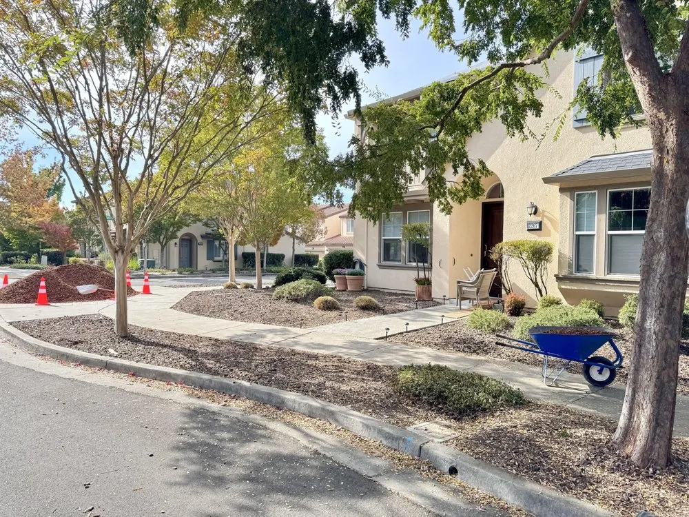 Custom lawn care service experts serving Petaluma, CA - Hunters Gardening