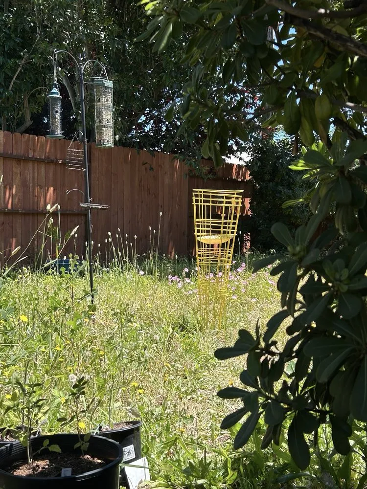 Top-rated outdoor landscaping in Petaluma, CA - Hunters Gardening