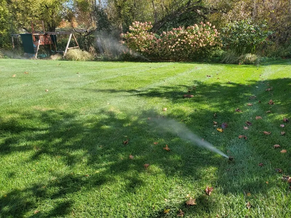 Reliable yard cleanup service in Clarkston, MI - Hunter's Irrigation