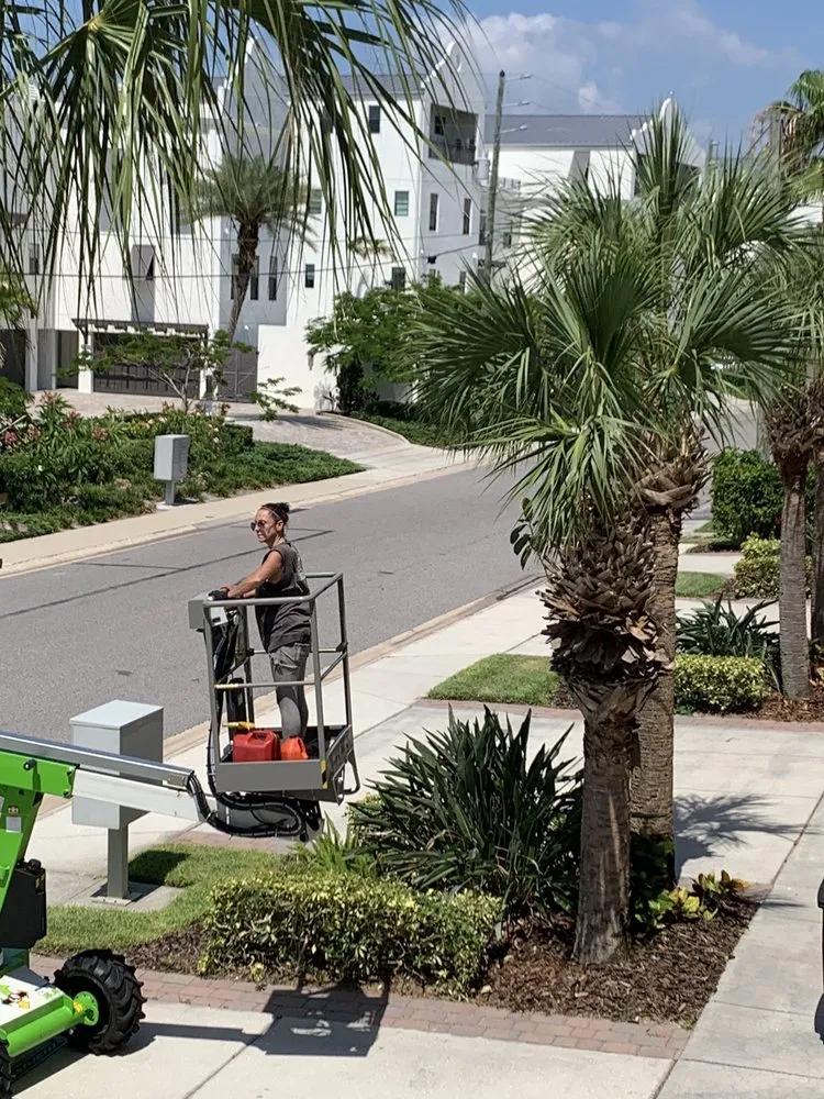 Top-rated lawn mowing service for outdoor upgrades in Clearwater, FL by Hunter's Landscaping & Lawn Maintenance