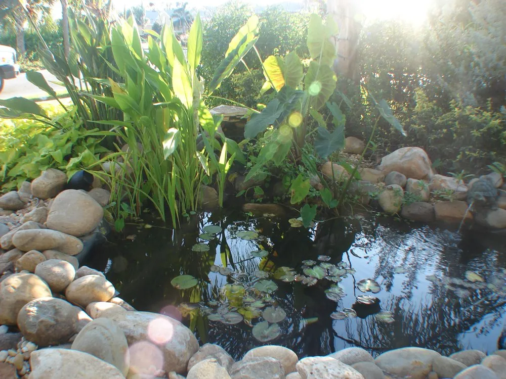 Professional landscaping services for beautiful yards across Clearwater, FL - Hunter's Landscaping & Lawn Maintenance