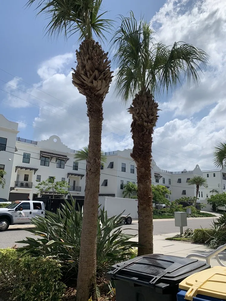 Professional garden landscaping in Clearwater, FL - Hunter's Landscaping & Lawn Maintenance