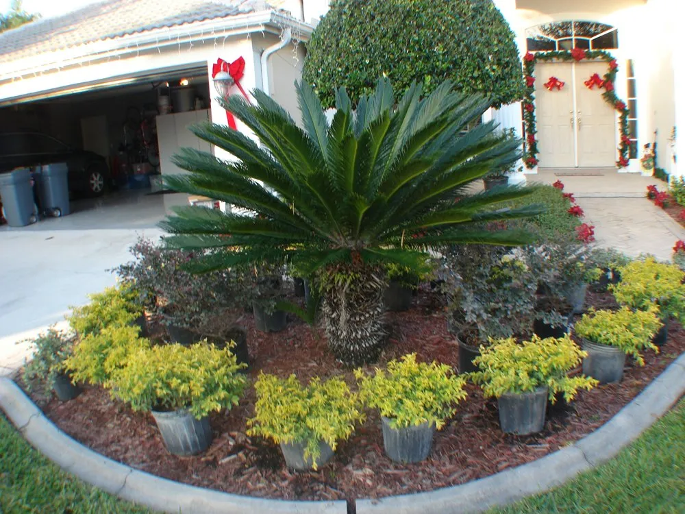 Top-rated yard cleanup service in Clearwater, FL - Hunter's Landscaping & Lawn Maintenance