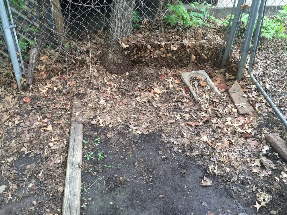 Professional lawn care service in St. Joseph, MO by Hunters Lawn Care & Tree Service