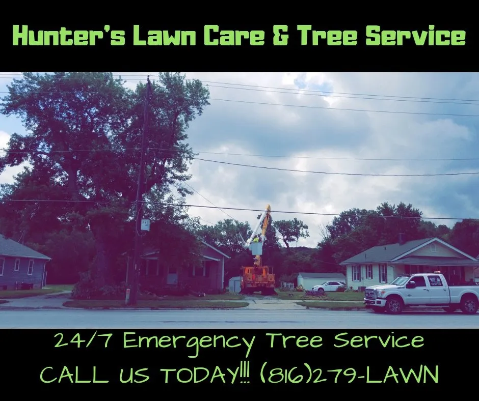 Professional residential landscaping for outdoor upgrades in St. Joseph, MO by Hunters Lawn Care & Tree Service