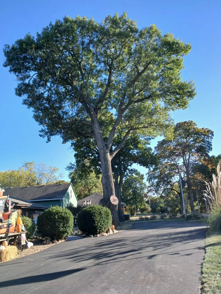 Expert outdoor landscaping for beautiful yards across St. Joseph, MO - Hunters Lawn Care & Tree Service