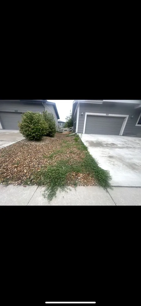 Affordable lawn care service in Fort Collins, CO - Hunter’s Lawn Care