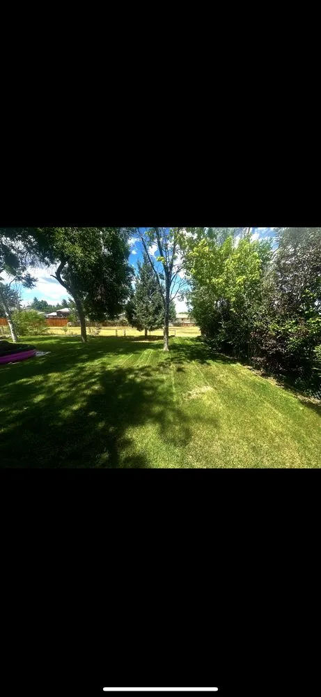 Expert yard cleanup service for beautiful yards across Fort Collins, CO - Hunter’s Lawn Care