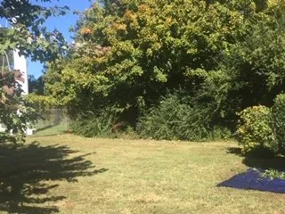 Affordable landscaping services for homes in Union City, TN by Hunters Lawn Care